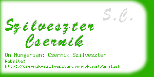 szilveszter csernik business card